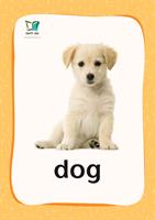 קטגוריה – חיות חוה (כרטיסי הברקה) | Household Pets Flashcards