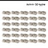 שקוף 30 יחידות - ארגוניות למשקפי שמש