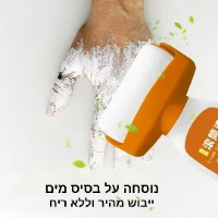 גלגל הצבע