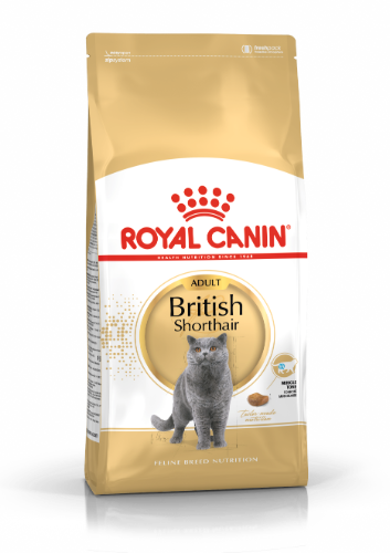 רויאל קנין לחתול בריטי 4 ק"ג - ROYAL CANIN BRITISH SHOTHAIR 4 KG