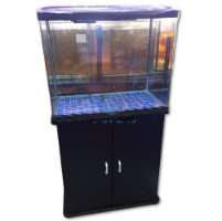 אקווריום+שולחן שחור 60 ס"מ