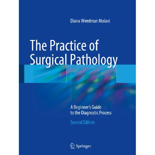 The Practice of Surgical Pathology : A Beginner's Guide to the Diagnostic Process