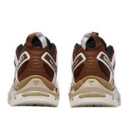 Salomon XA Pro 3D 'Brown'