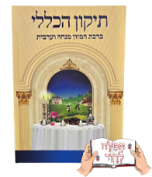 תיקון הכללי כיס