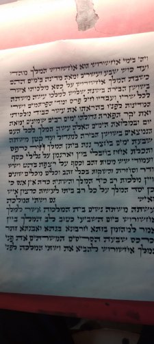מגילת אסתר על קלף נוסח הארי 21 שורות-תשפה.