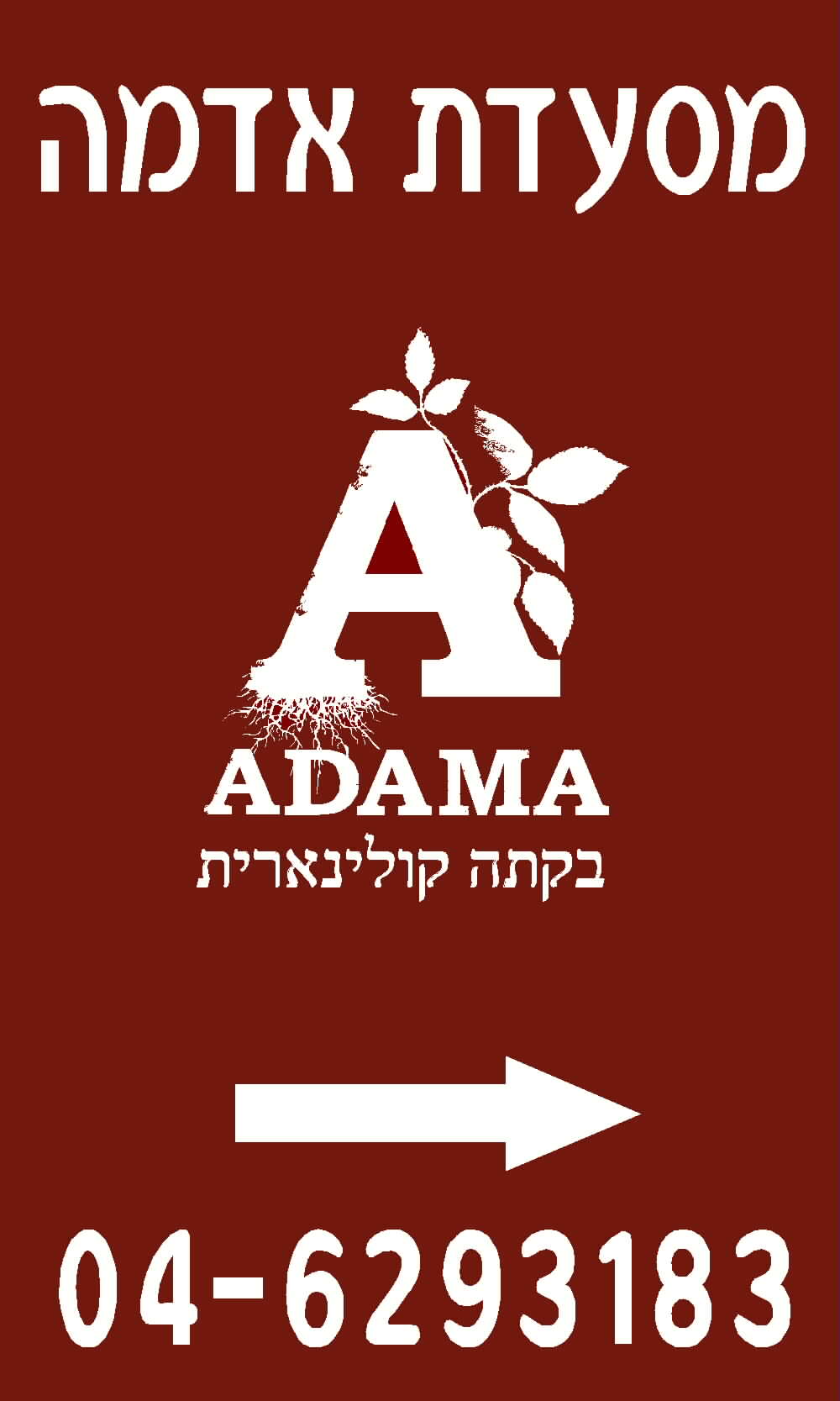 אדמה בקתה קולינארית