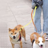 רצועה כפולה ל2 כלבים- לטיול מושלם