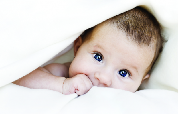 פוך למיטת תינוק בד חצוני 100% כותנה