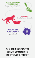 מצע אורגני מתגבש בסיסי (ירוק) לחתולים 3.18 ק"ג "וורלדס בסט"