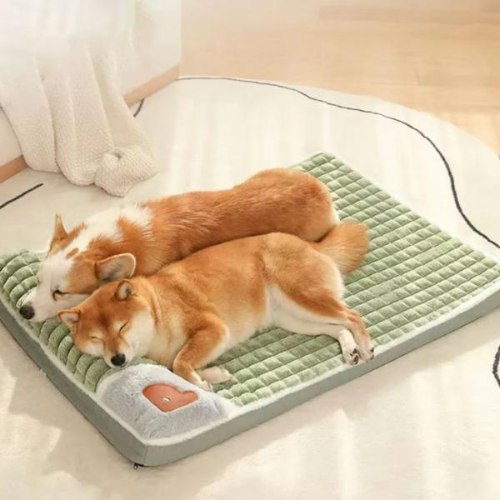 מיטת כלבים פירמיום חמה לחורף PapiBad