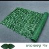 גדר עלי קיסוס כהים - גדר עלים דקורטיבית במגוון דגמים