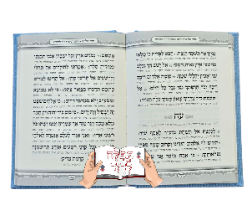 תהילים קורדרוי כתום אפרסק