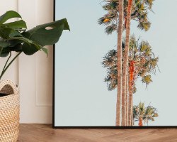תמונת קנבס לאורך של שדרת דקלים על רקע שמיים "Palm Avenue" |בודדת או לשילוב בקיר גלריה