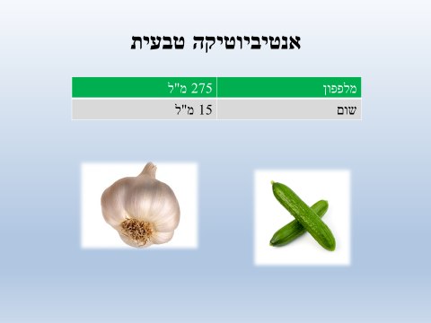 שייק מלפפון ושום