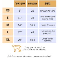 טריינינג  בעיצוב לימונים לכלבים