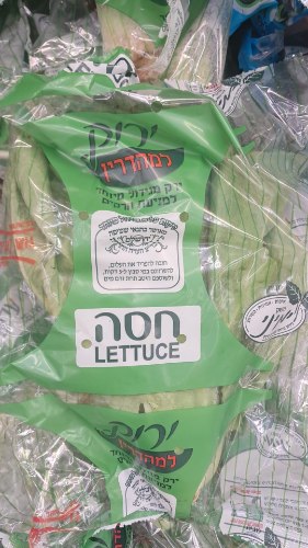 חסה גלאט עלים בד"ץ העדה החרדית