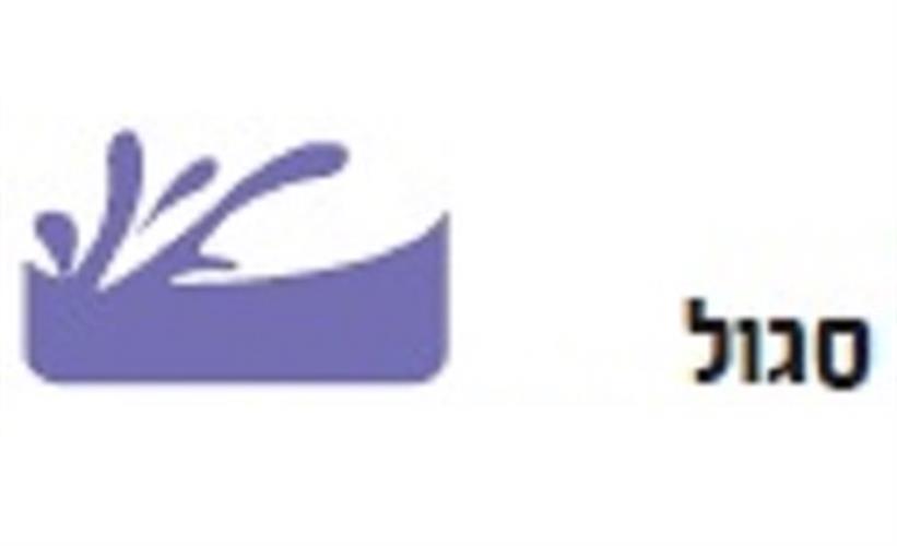 צבע אקריל אקזוטיק 500 מ"ל סגול 14050080