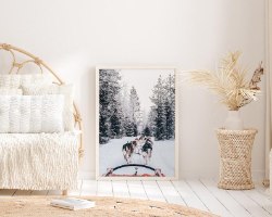 תמונת קנבס הדפס של כלבי שלג מושכים מזחלת |בודדת או לשילוב בקיר גלריה | תמונות לבית ולמשרד
