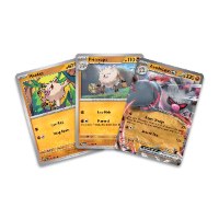קלפי פוקימון מארז אנהילייפ אי אקס Pokémon TCG: Annihilape ex Box