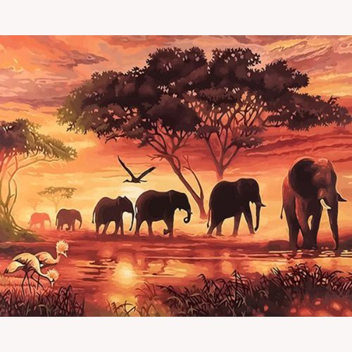 פילים בטבע