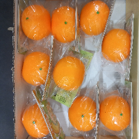 סקווישי תפוז נידו נמעך להפגת מתחים - Squishy Nido Orange SA0623