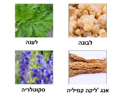 קרם למיצוק ושריפת שומנים