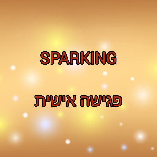 SPARKING - פגישה אישית