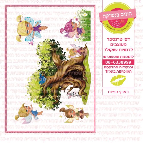 בארץ הפיות