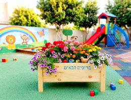 אדנית ג'מבו גדולה