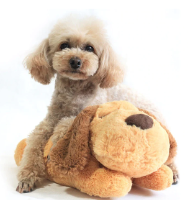 Puppy - בובה מטפלת להקלה והרגעת חרדות