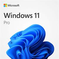 Windows 11 Pro 64 Bit English