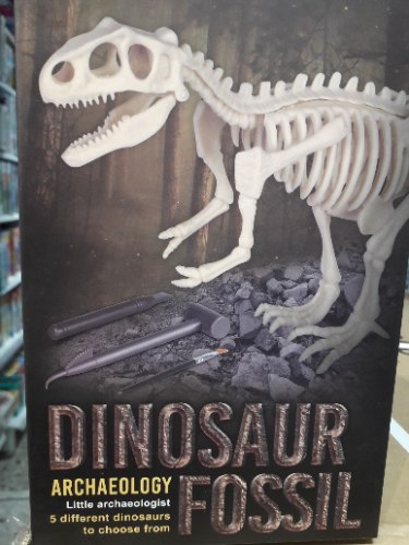 משחק ארכיאולוג צעיר דינוזאורים