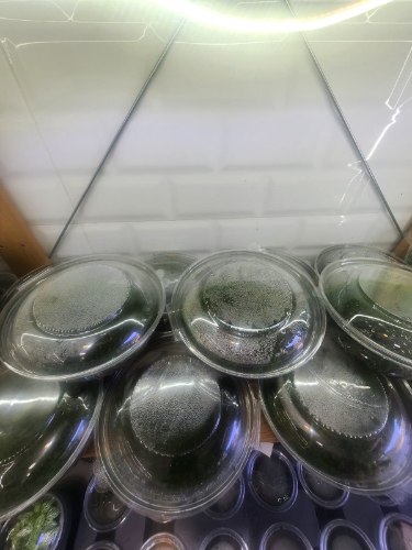 מוס כדורי קופסה2