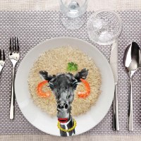 צלחת ג'ירפה Wild Dining - מארז לא מושלם