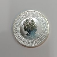 מטבע כסף קנגורו אוסטרלי 2023 – אונקיה אחת 1oz Silver Kangaroo (.9999)