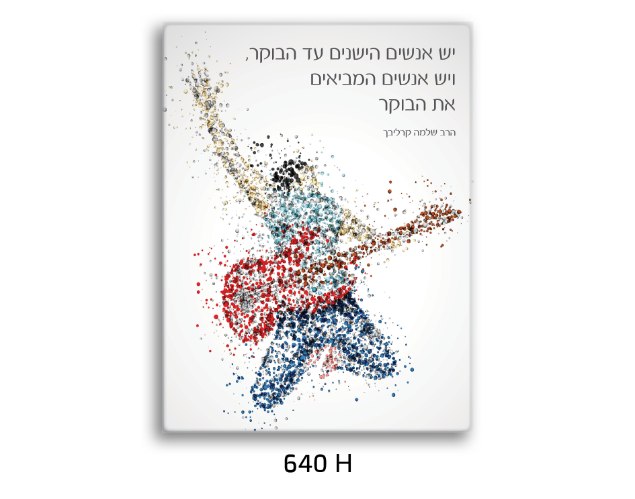 תמונת השראה גיטרה  - דגם 640H