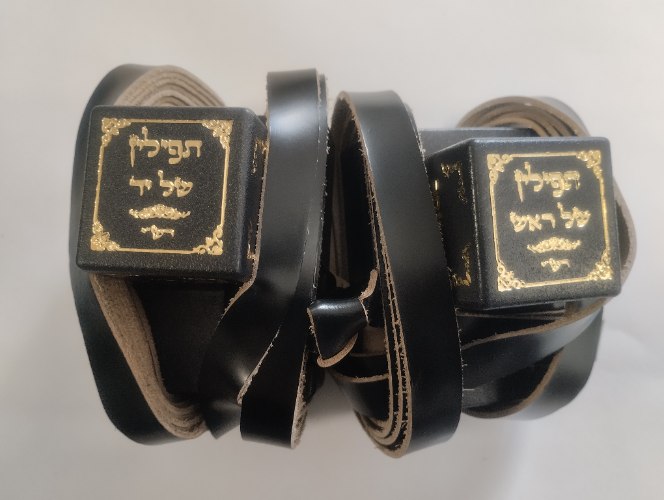 תפילין מהודרים בהמה דקה