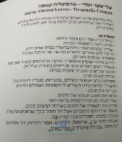 עלי שקד הודי איכות A "טרמינליה קטפה" 10 יחידות