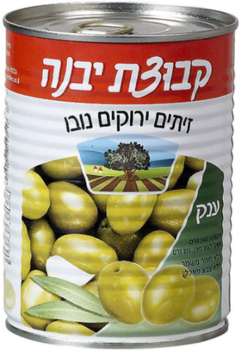 זיתים נובו ענק יבנה