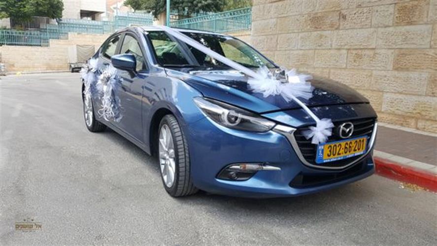 קישוט רכב חתונה 6 פונפון