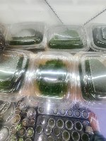 מוס כדורי מלבן