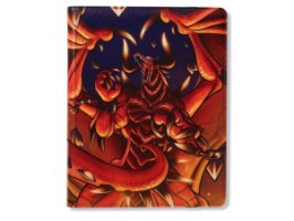 אלבום לאספנים 360 קלפים כתום DRAGON SHIELD: CARD CODEX Rendshear 360