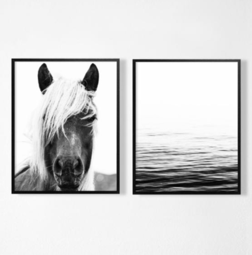 זוג תמונות קנבס מונוכרום הדפס צילום פני סוס מלפנים וים שליו | תמונות לבית