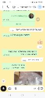 כתר לספר תורה  + יד לספר תורה