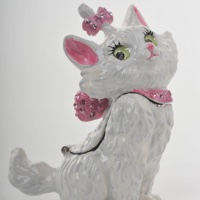White and Pink Cat