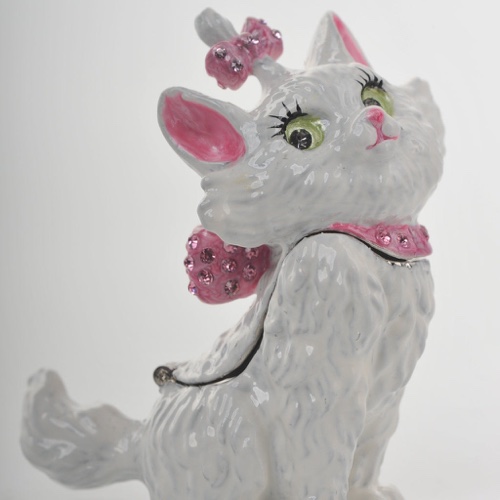 White and Pink Cat