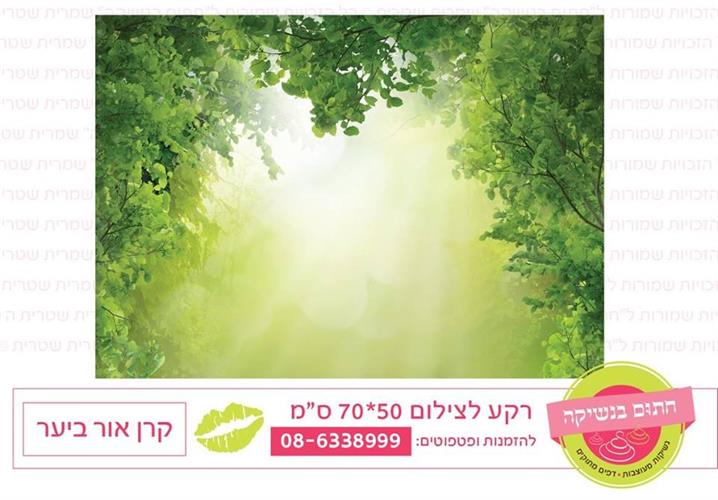 רקע לצילום קרן אור ביער