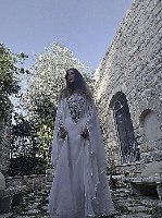 גלבייה מלכות השלווה