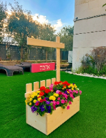 אדנית שלווה
