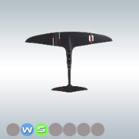 Glider Blackbird Balz PRO 905-385 998cm² / AR 8.30